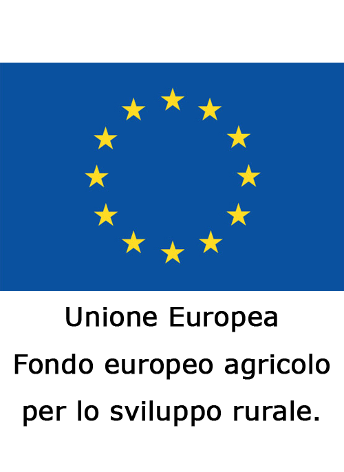 Logo Ente 2