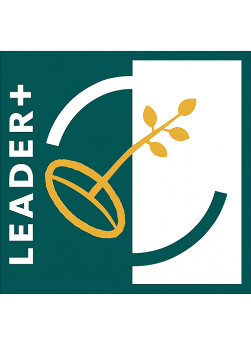 Logo Ente 6